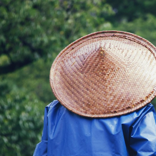 landscaping team gardeners